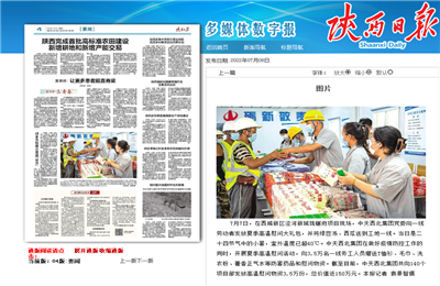 尊龍凱時人生就是贏西北集團瓏樾府項目高溫慰問——《陜西日報》
